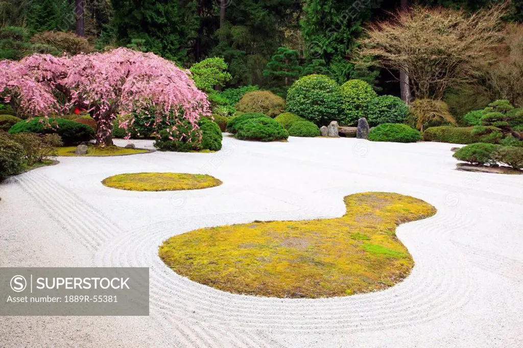 portland, oregon, united states of america, spring blossoms at portland japanese garden