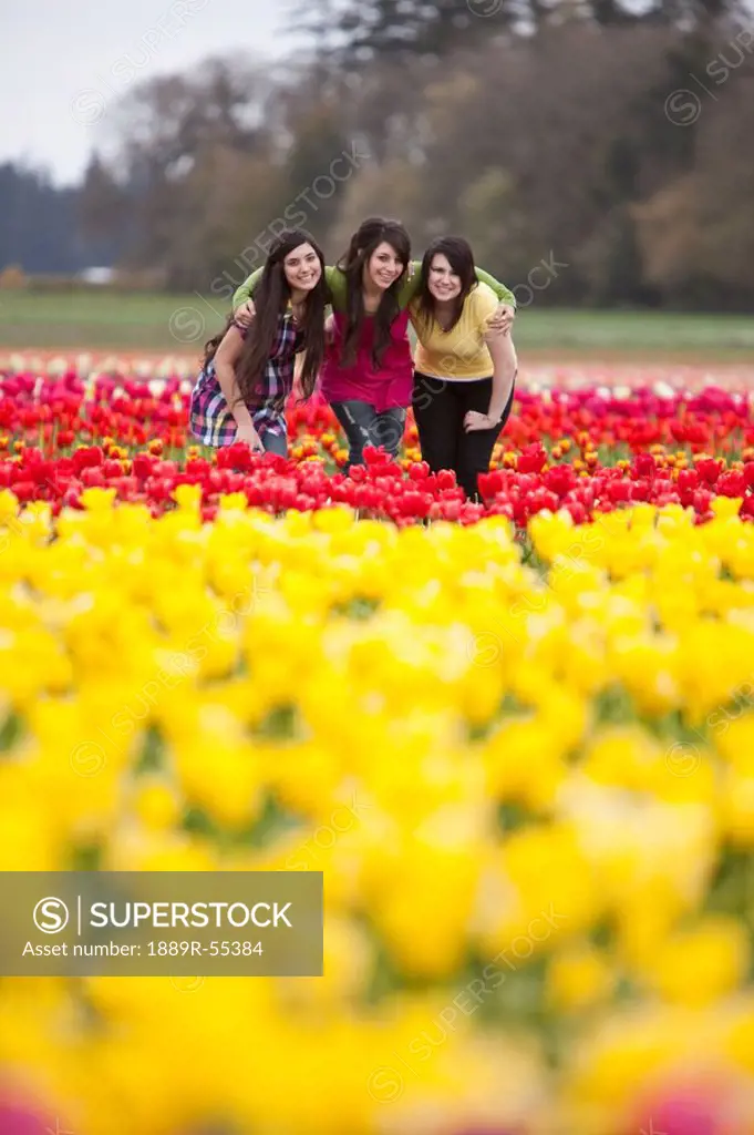 woodburn, oregon, united states of america, teenage girls together in the tulip field at the wooden shoe tulip farm