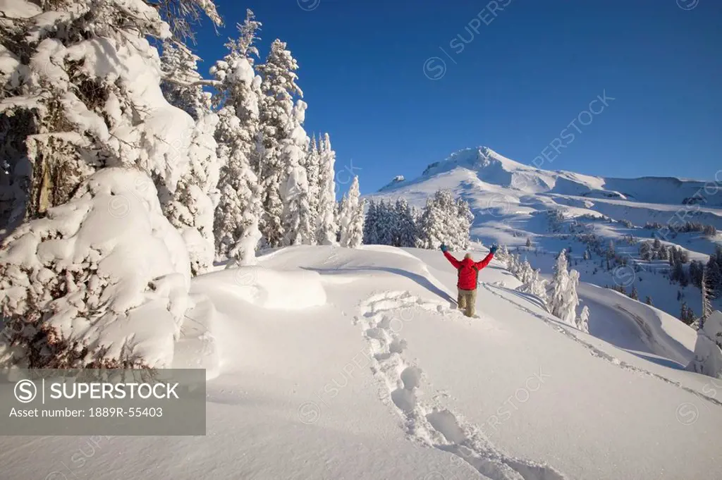 timberline, oregon, united states of america, snowshoer in deep winter snow on mount hood