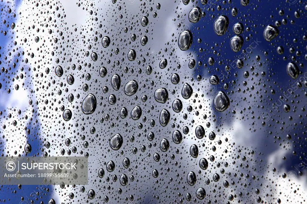 rain droplets on the roof of a car, edmonton, alberta, canada