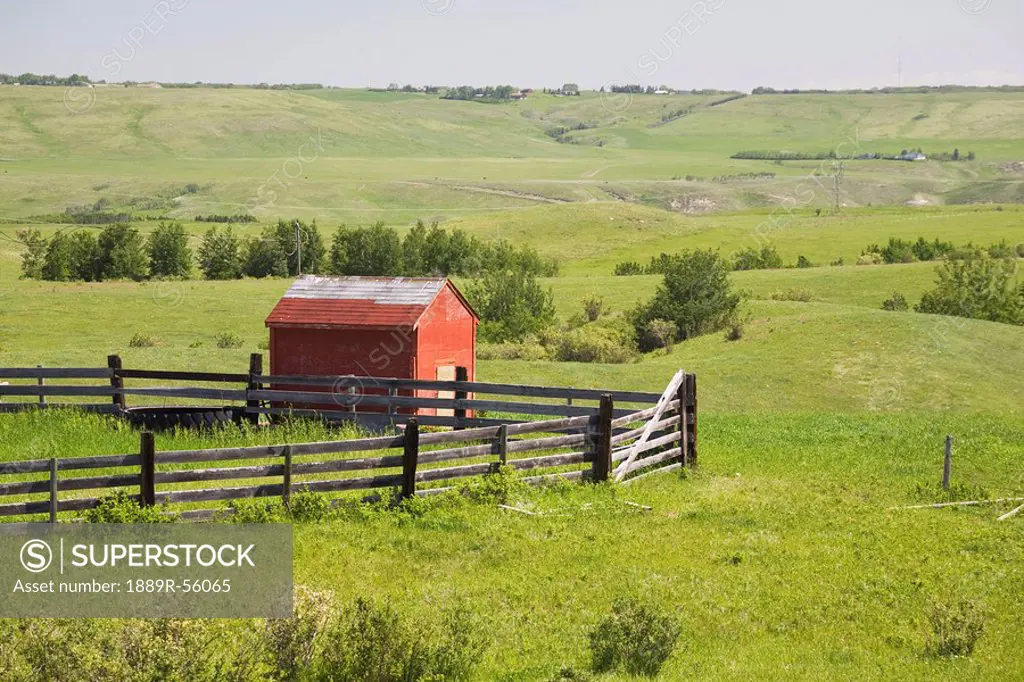 pasture fields with a red shack and a fenced area, alberta, canada