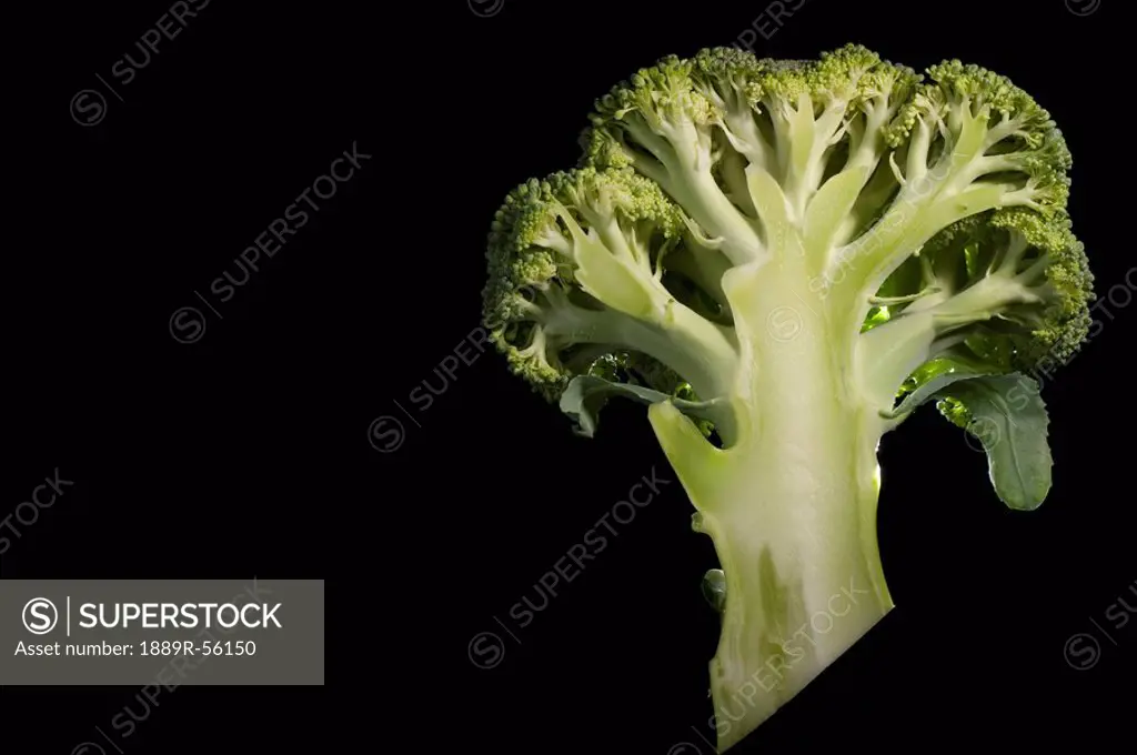 broccoli floret