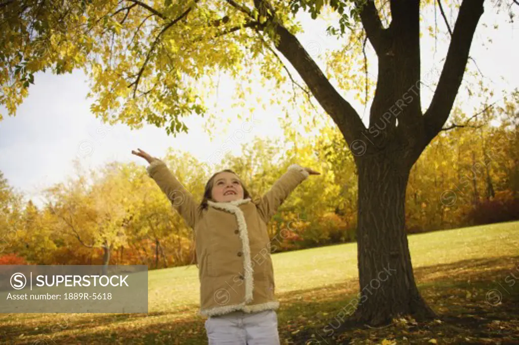 Child tries to catch falling leaves