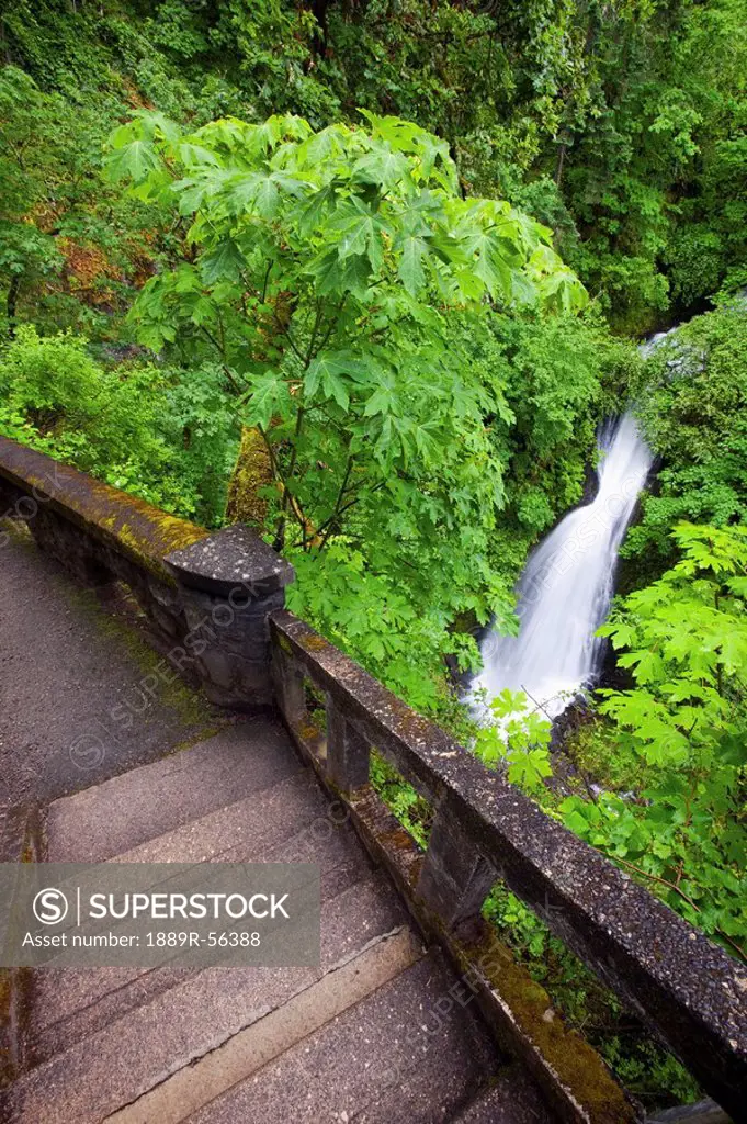 oregon, united states of america, sheppard´s del falls in columbia river gorge national scenic area