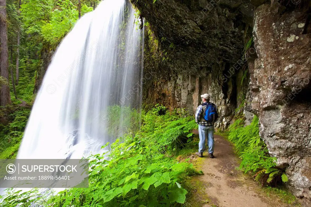 oregon, united states of america, a hiker at north middle falls in silver falls state park