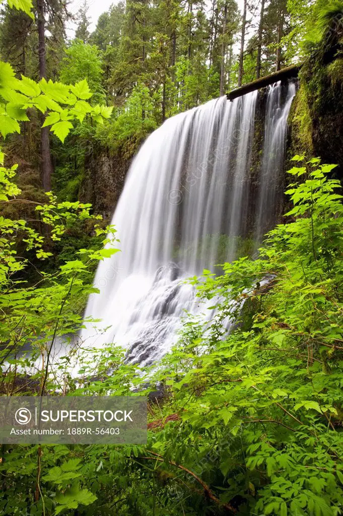 oregon, united states of america, north middle falls in silver falls state park