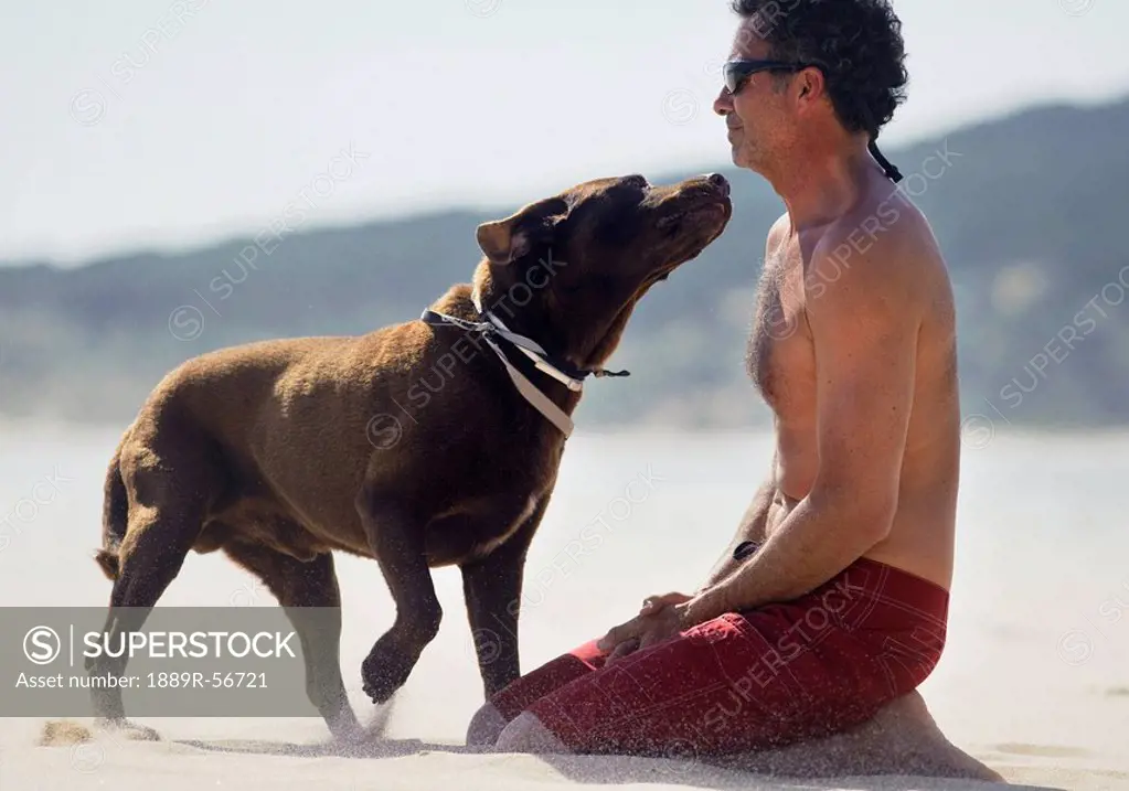 tarifa, cadiz, andalusia, spain, a man and his dog on punta paloma beach along costa de la luz