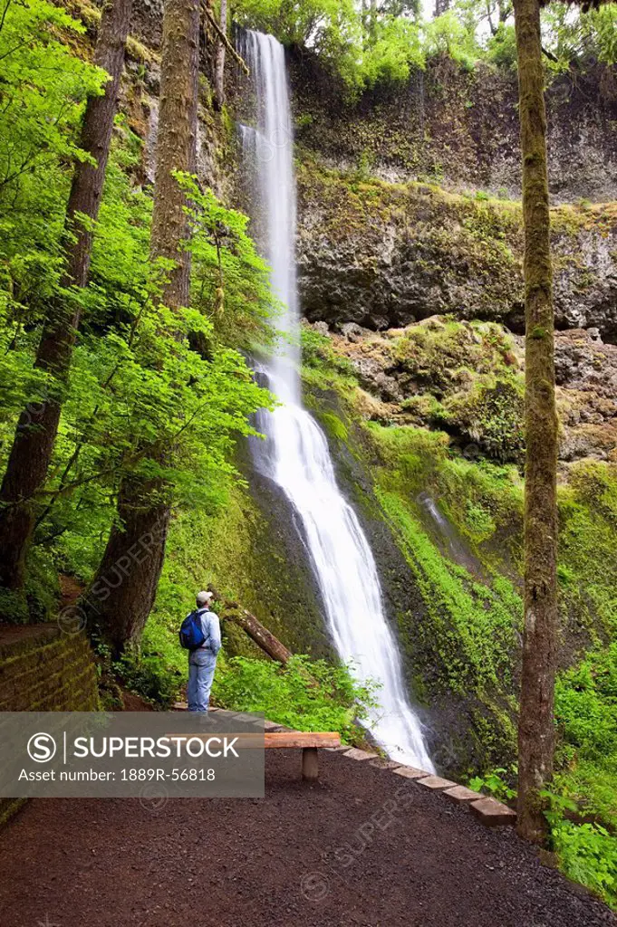 oregon, united states of america, a hiker at winter falls in silver falls state park
