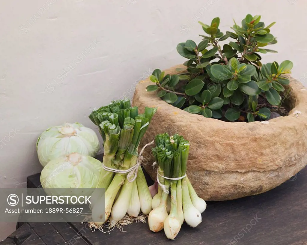 tarifa, cadiz, andalusia, spain, onions, cabbages and a plant in a stone pot on a wooden table