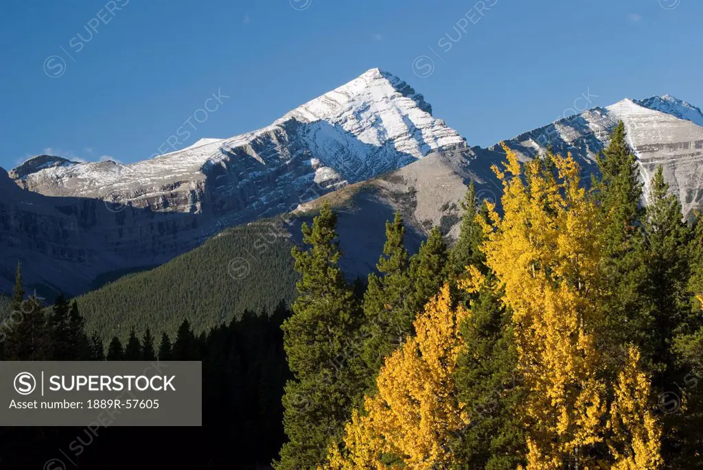 autumn colors in the rocky mountains, alberta, canada