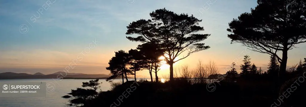 Parknasilla, County Kerry, Ireland, Sunset And The Silhouette Of Trees In Kenmare Bay