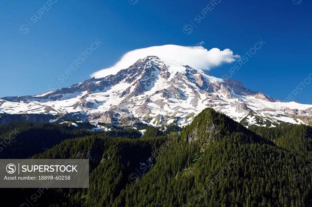 Washington, United States Of America, Mt. Rainier In Mt. Rainier National Park