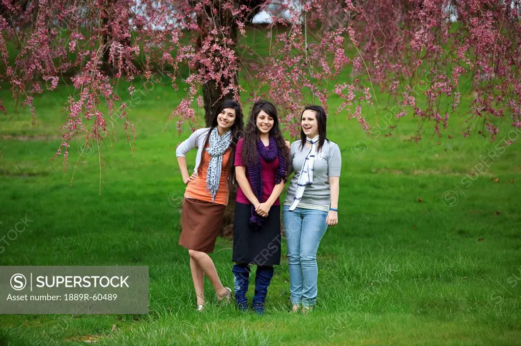 Portland, Oregon, United States Of America, Three Teenage Girls By A Tree Full Of Blossoms In Portland Park