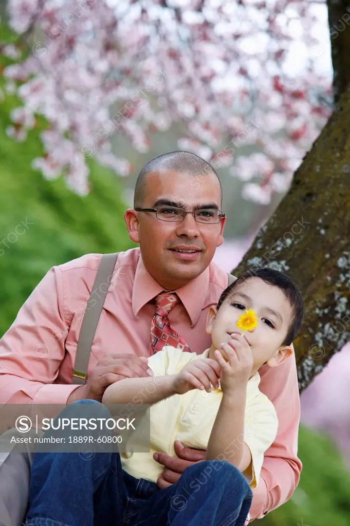 Portland, Oregon, United States Of America, A Father And His Son Sitting Under A Cherry Blossom Tree In Spring In Westmorland Park