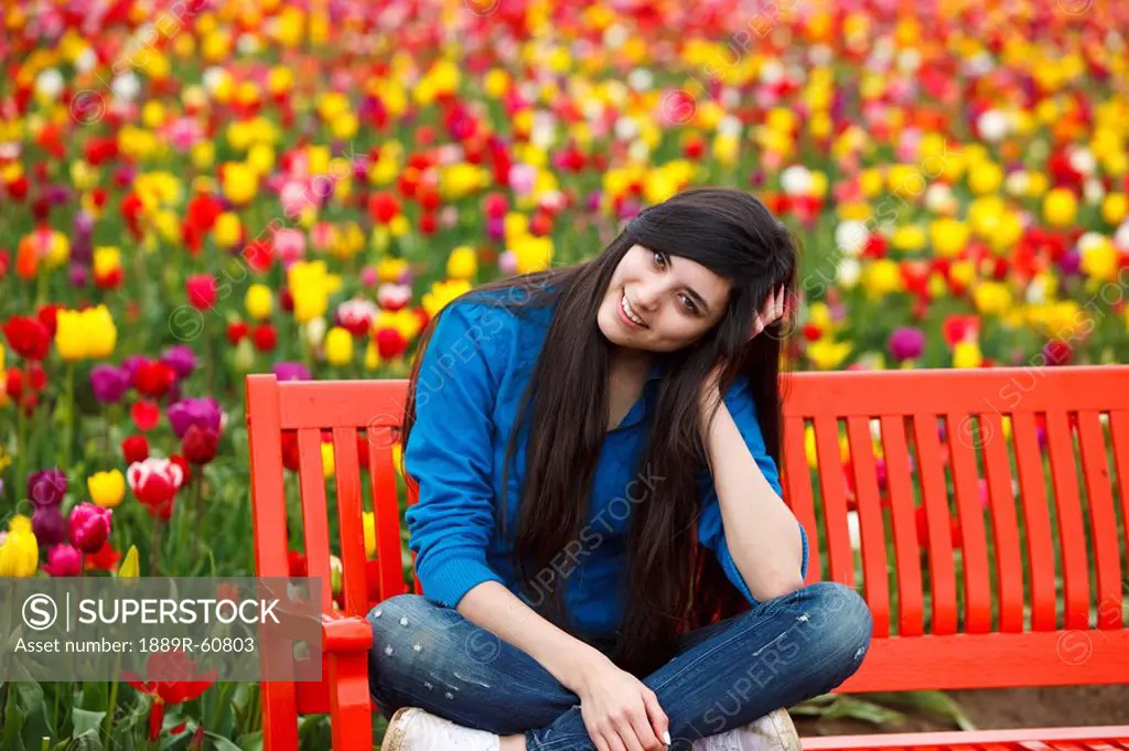 Woodburn, Oregon, United States Of America, A Teenage Girl Sits On A Red Bench In Front Of A Tulip Field At Wooden Shoe Tulip Farm