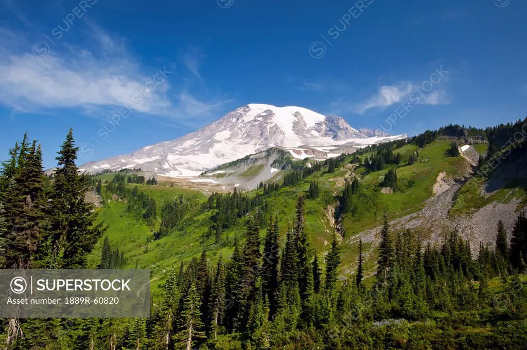 Washington, United States Of America, Mount Rainier In Paradise Park In Mt. Rainier National Park
