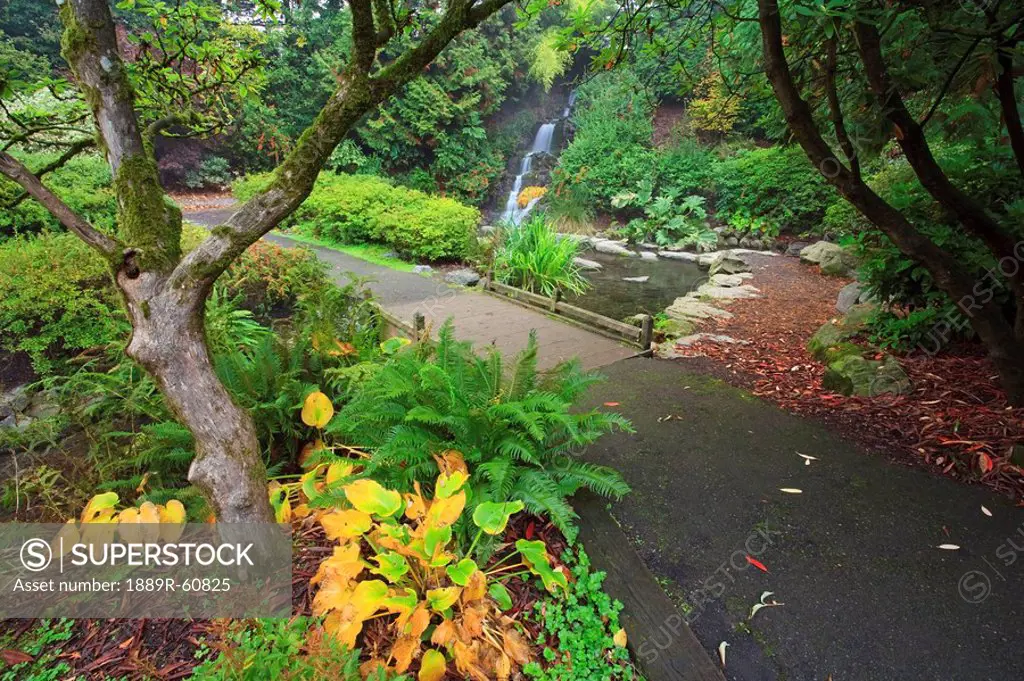 Portland, Oregon, United States Of America, A Path In Crystal Springs Rhododendron Gardens In Autumn