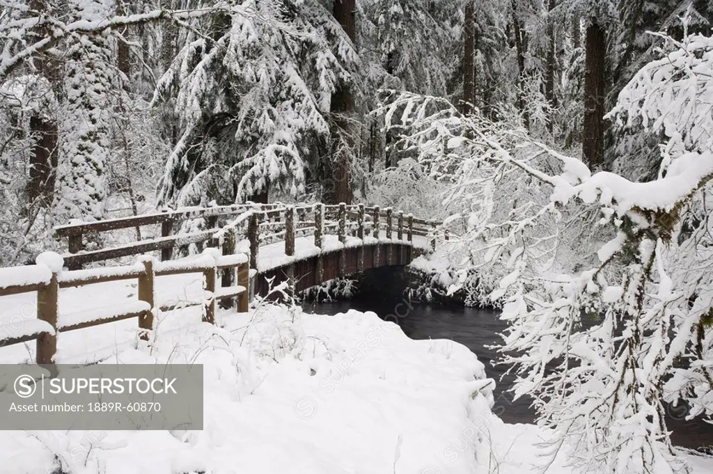 Oregon, United States Of America, Snow Covered Bridge In Silver Falls State Park