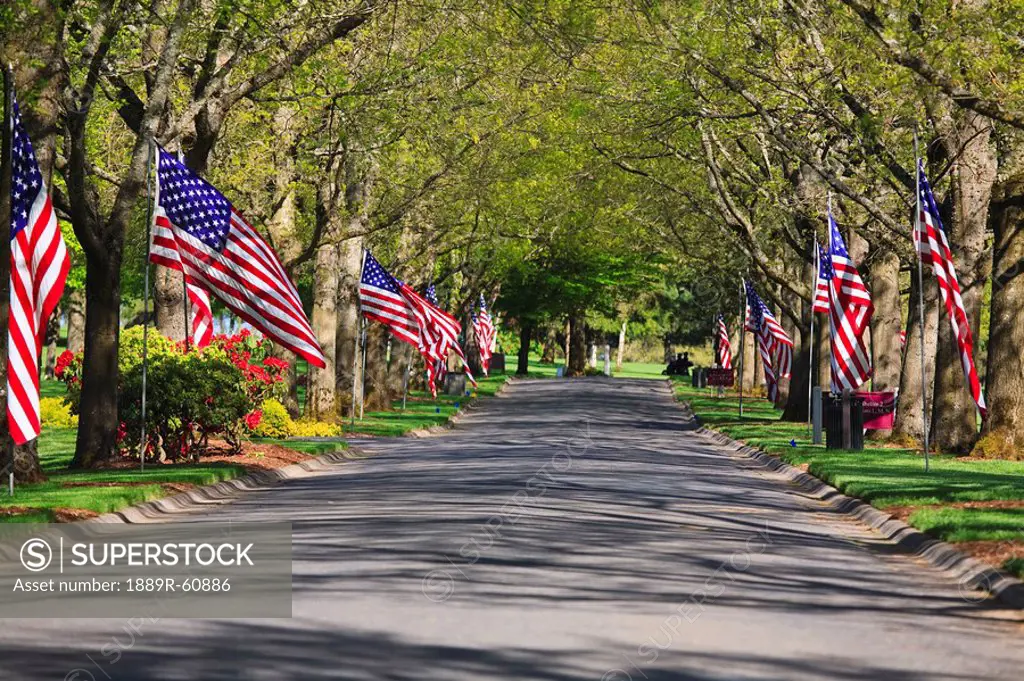 Portland, Oregon, United States Of America, American Flags Lining The Road On Memorial Day
