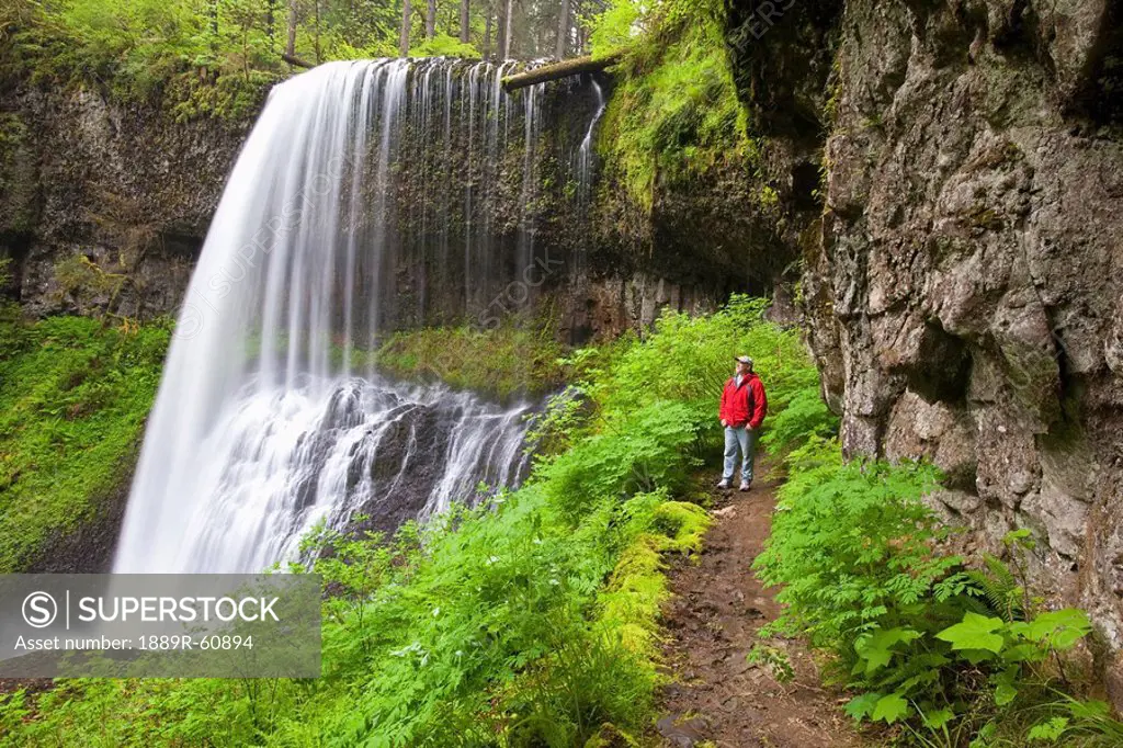 Oregon, United States Of America, A Man Standing By North Middle Falls In Silver Falls State Park
