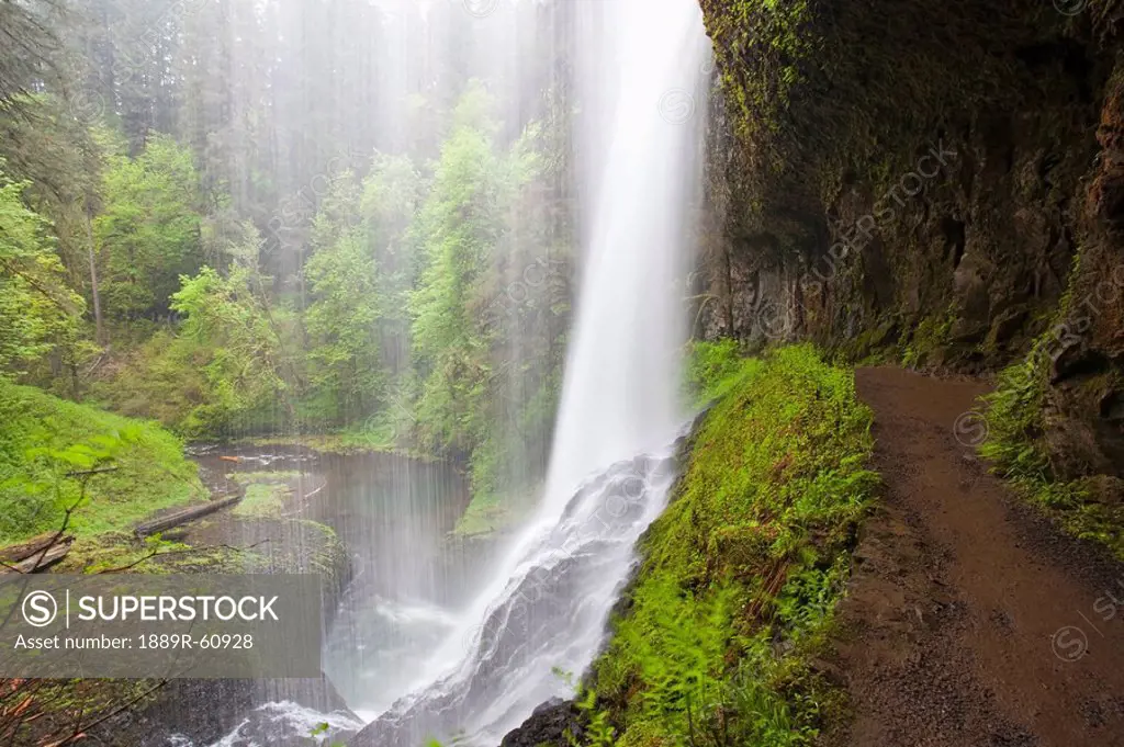 Oregon, United States Of America, A Trail Leading Behind North Middle Falls In Silver Falls State Park