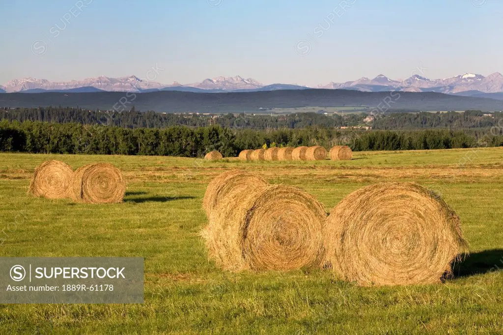 Hay Bales With Mountains In The Background, Alberta, Canada