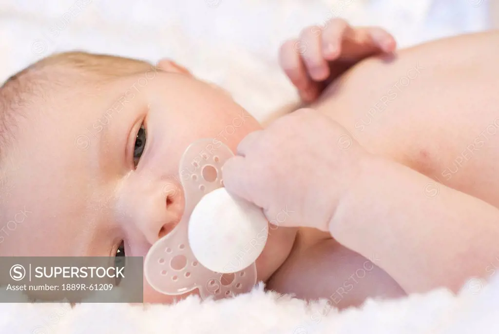 A Newborn Baby With A Pacifier In It´s Mouth, Millet, Alberta, Canada