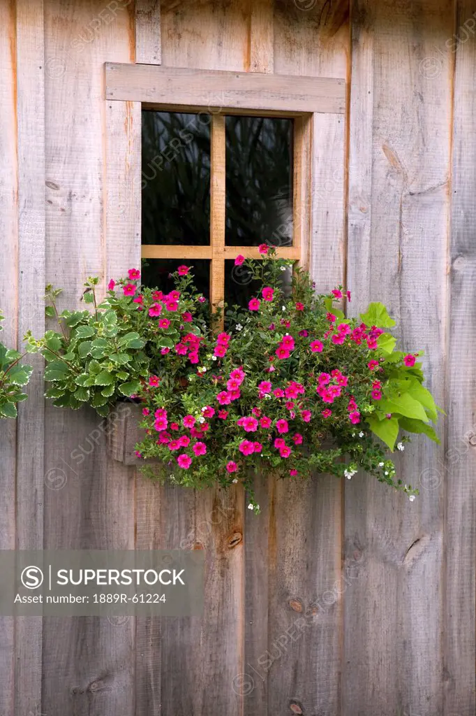 Wooden Shed With A Flower Box Under The Window