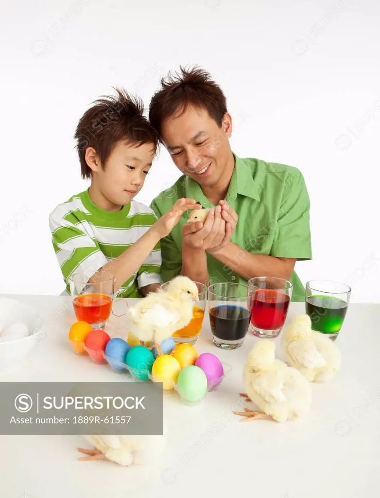 A Father And Son Playing With Chicks While Dying Easter Eggs