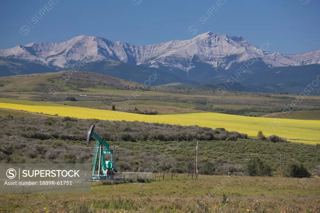 Pumpjack With Flowering Canola Field And Mountains In The Background, Alberta, Canada