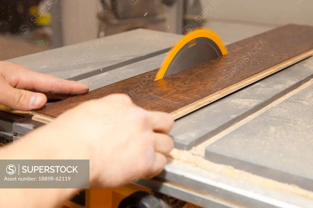 tradesman using a table saw to cut hardwood, st. albert, alberta, canada