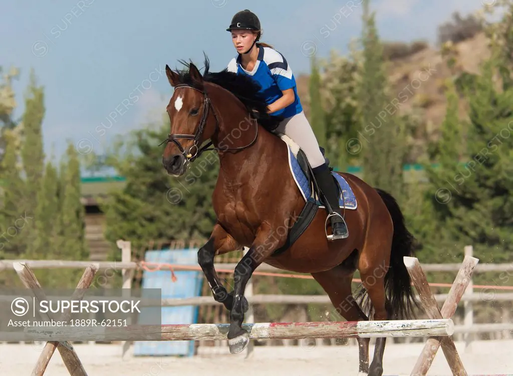 a horse does jumps with a female rider, benalamadena costa, malaga, costa del sol, andalusia, spain