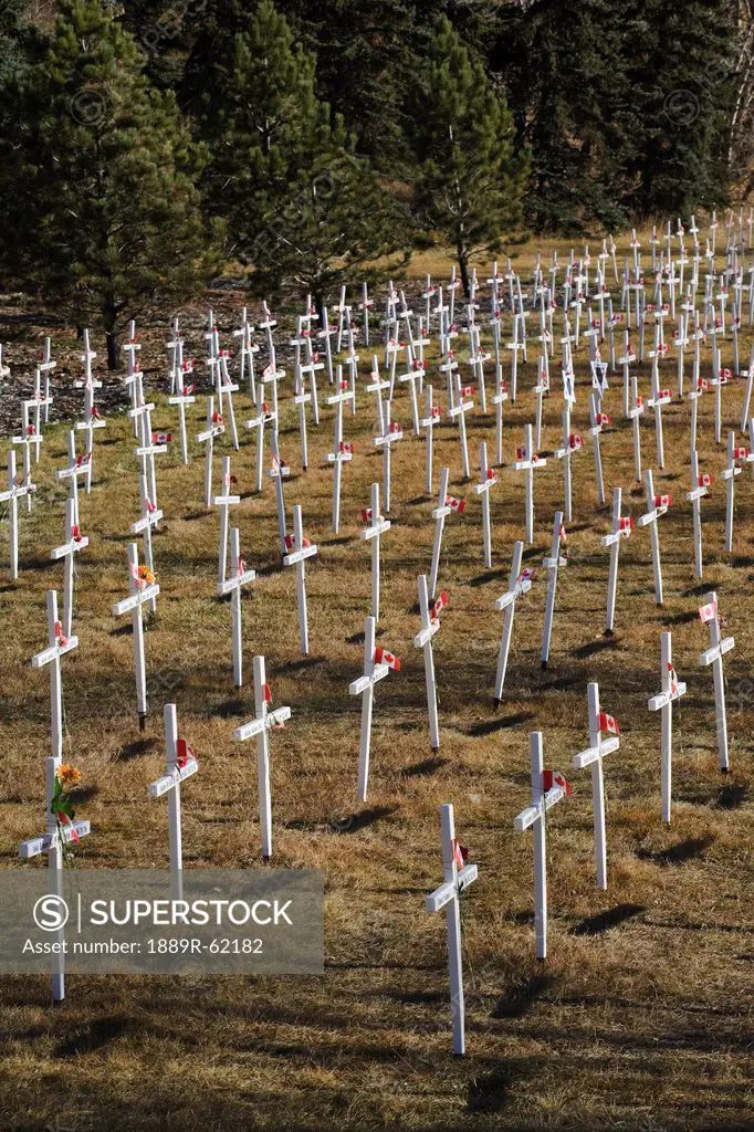 white crosses in a field with canadian flags, calgary, alberta, canada