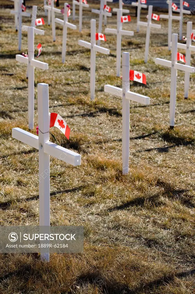 white crosses in a field with canadian flags, calgary, alberta, canada