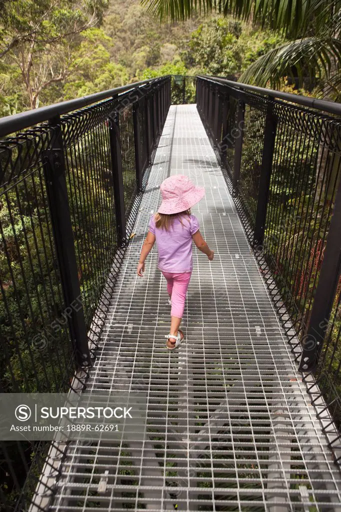 a young girl walking on the rainforest skywalk in tamborine national park, gold coast hinterland, queensland, australia