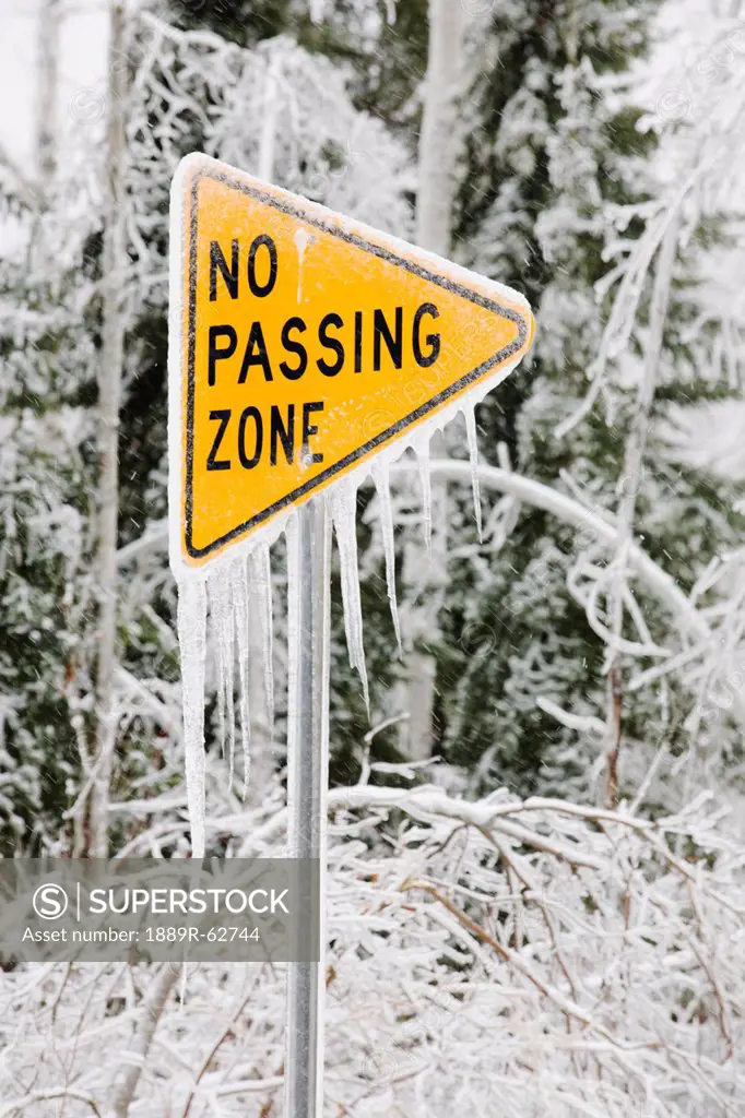 ice covered street sign that says, ´no passing zone´, minnesota, united states of america