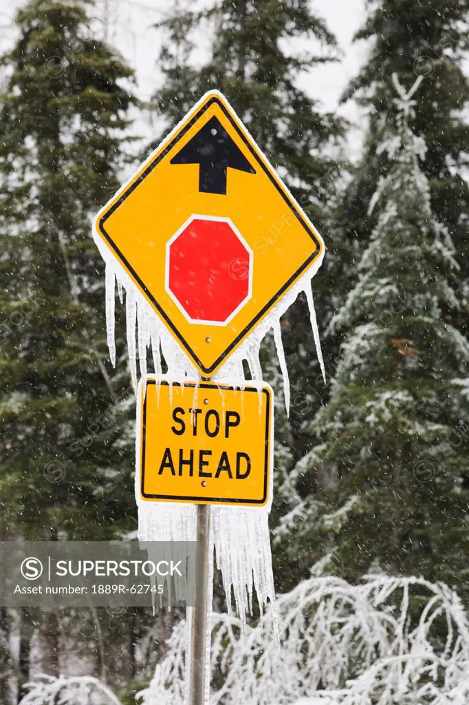 ice covered street signs, minnesota, united states of america