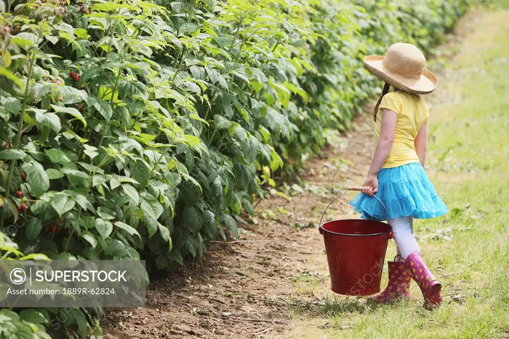 a girl wearing rubber boots and carrying a large, red pail for berry picking, troutdale, oregon, united states of america