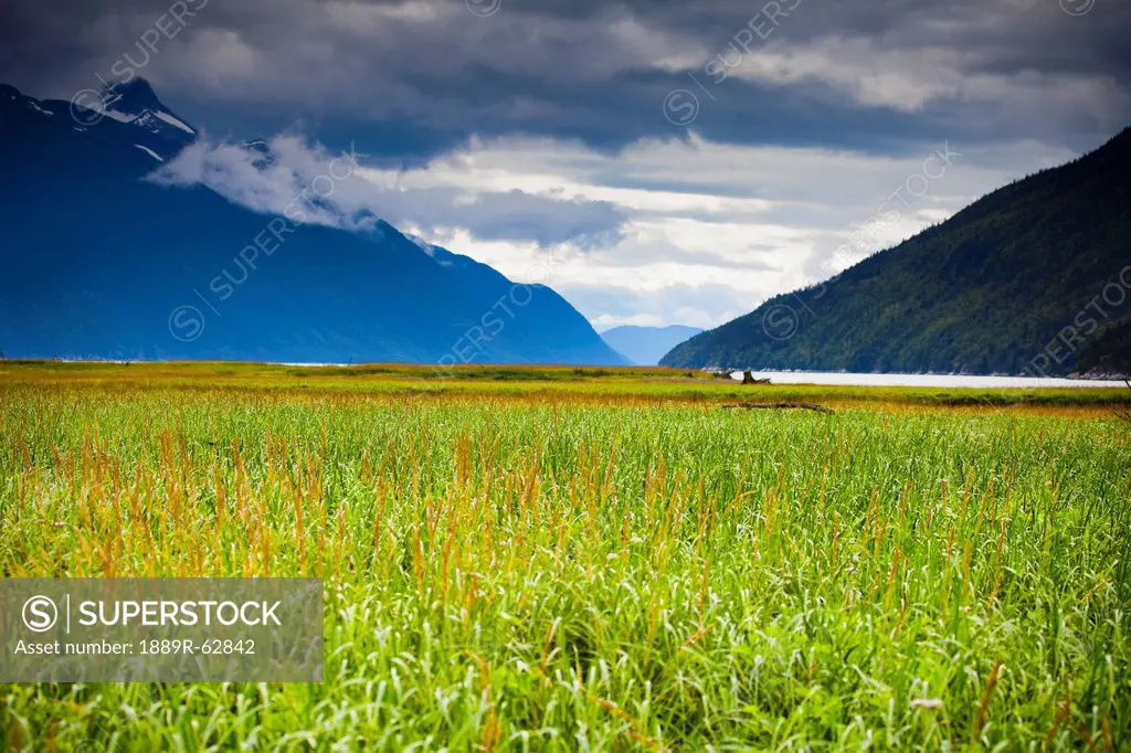 grass in the tidal flats and chilkat mountains with a view of taiya river, skagway, alaska, united states of america