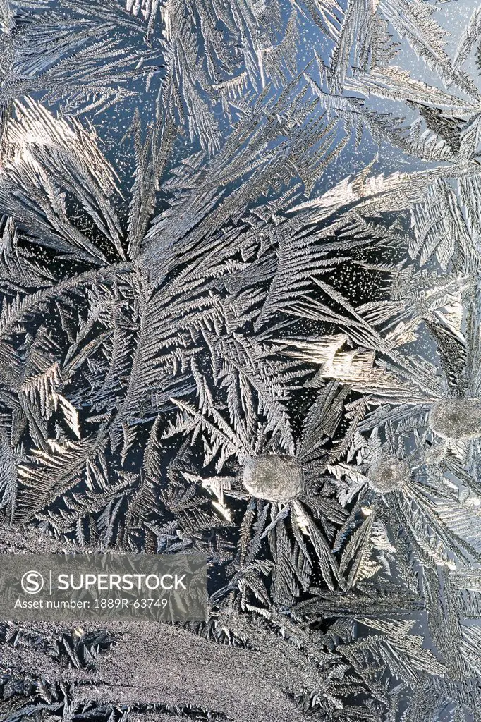 frost crystals on a window, calgary, alberta, canada