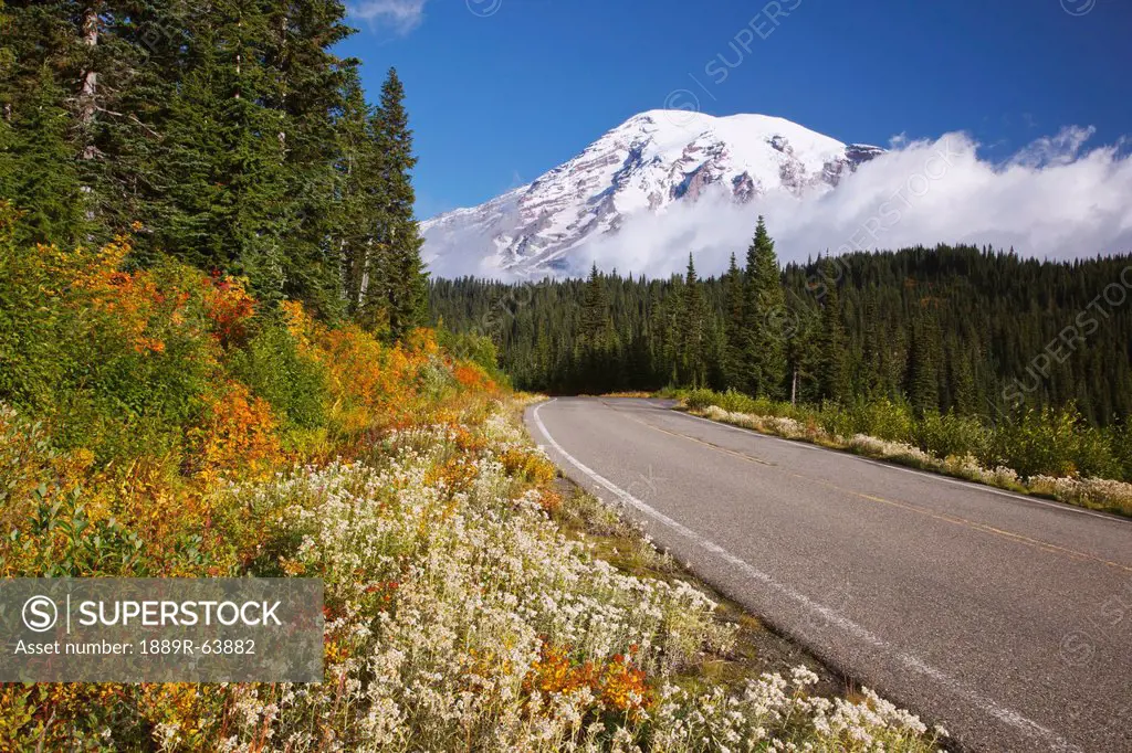 a road going through mt. rainier national park in autumn with a view of mount rainier, washington, united states of america