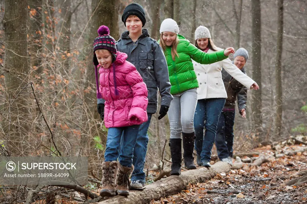 a family walking on a log in a forest during a snowfall, grimsby, ontario, canada