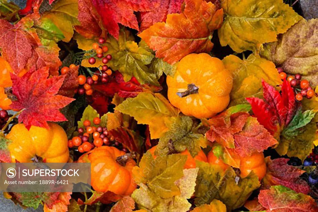 Closeup of autumn display