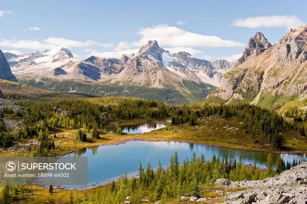 opabin plateau in lake o´hara region, yoho national park, british columbia, canada