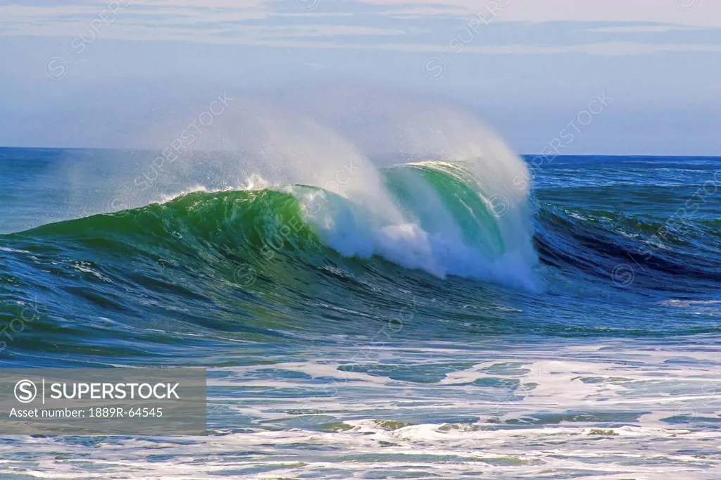 large curl on ocean wave, oregon, usa
