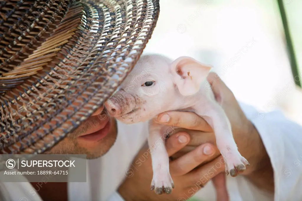 man holding up a baby pig, siquijor, philippines