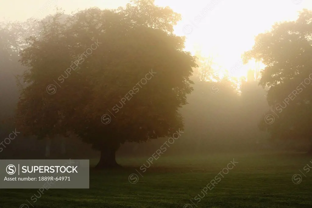 misty morning in cahir in the munster region, county tipperary, ireland