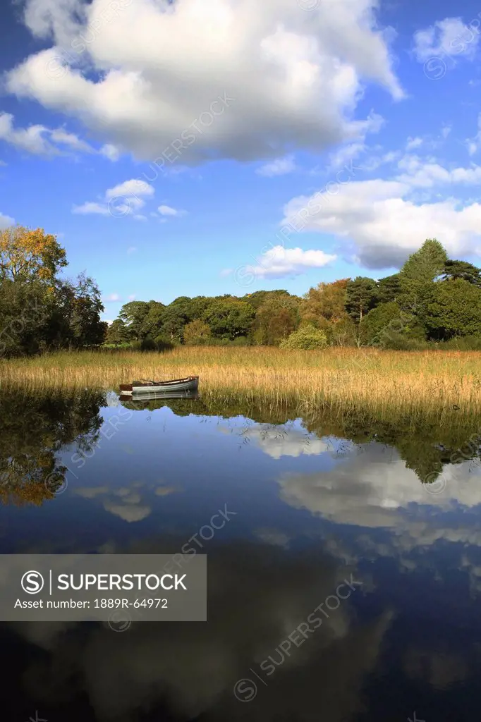 a boat sitting in the water along the tall grass in killarney national park in munster region, county kerry, ireland