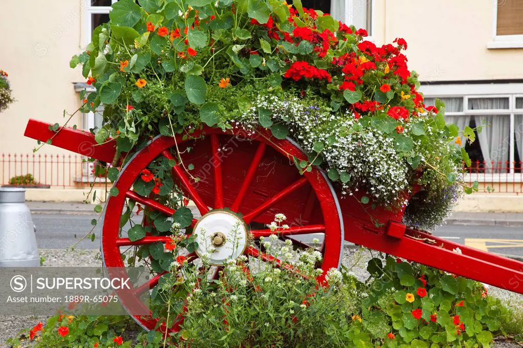 Outdoor Floral Arrangement, Inishshannon, County Cork, Ireland