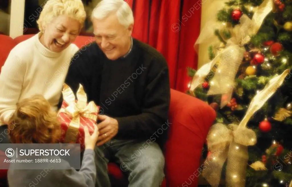 Grandparents at Christmas time